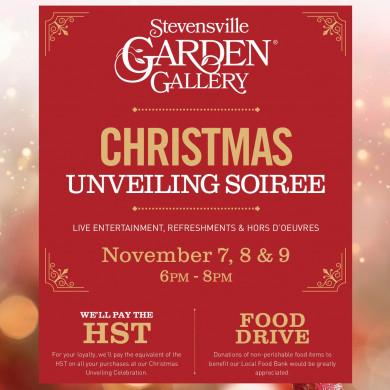 Christmas Unveiling Soiree | MyZone Tickets